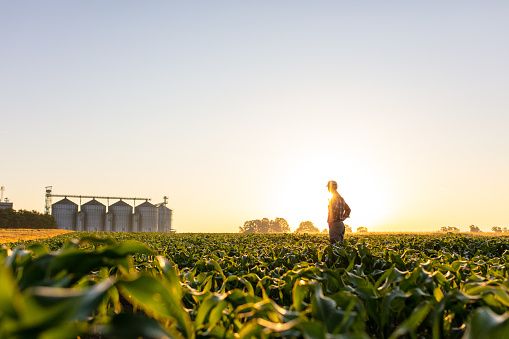 Parameter Monitoring Agrikultur/Photo by Unsplash