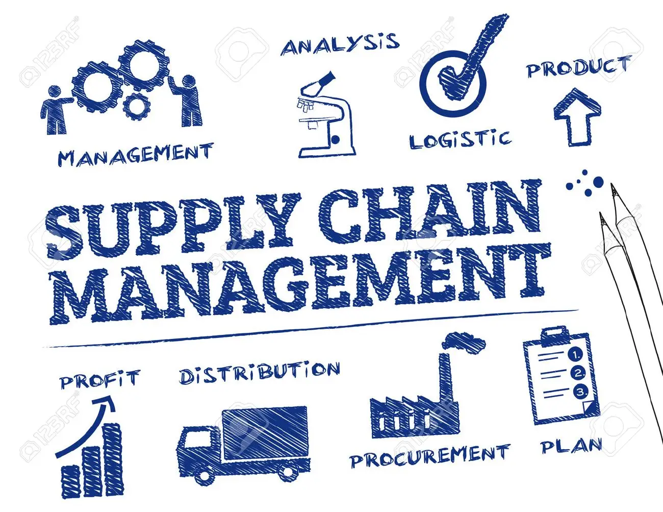 Supply Chain Management dalam Bisnis/ Photo by 123RF